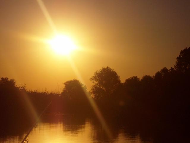 Doar ...  NATURA - sany0763.JPG